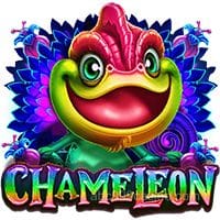 chameleon